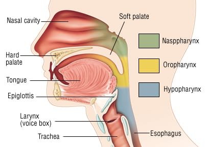 Epiglottitis NCLEX Mastery