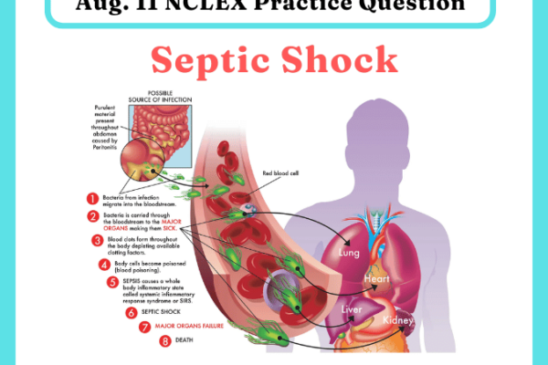 11 Aug. - NCLEX Practice Questions