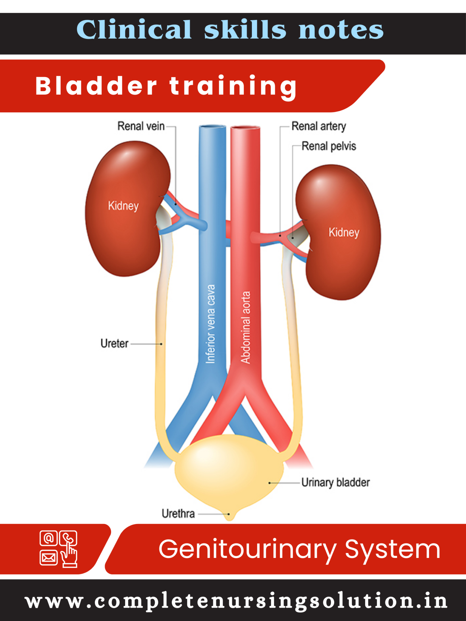 Bladder Training: Clinical skills Mastery #1