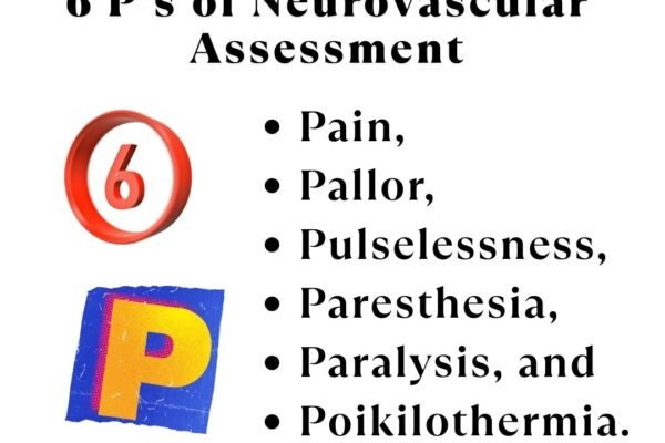 6 P Essential Neurovascular Assessment